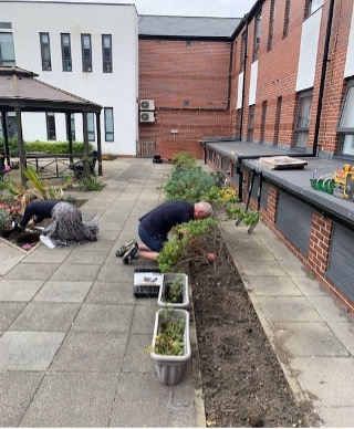 resident planting